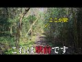 【ありえない】日本にこんな現役の駅が存在します