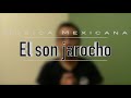 EL SON JAROCHO | Origen, características musicales y más