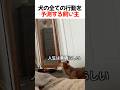 犬の全ての行動を予測する飼い主