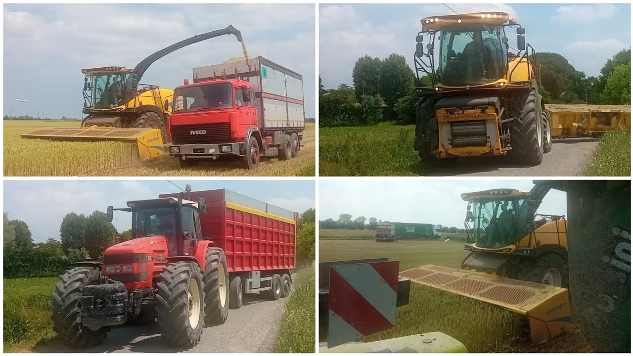 Trinciatura Frumento 2025 | Cab View + Sound Puro 🚜 | Team Bellavere | Wheat Silage Action