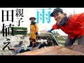 土砂降り田植え。5条植えを7条植えにする方法。