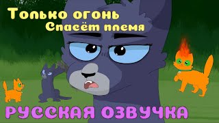 Только огонь спасёт племя! Озвучка на русском | Прикол  коты-воители.