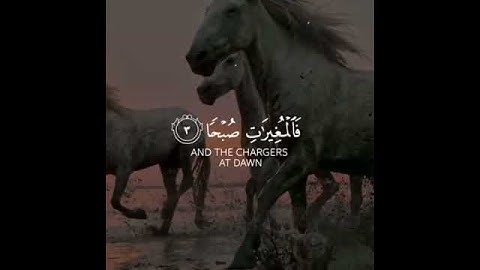 القارى عبدالرحمن مسعد-سورة العاديات - حالات واتس اب