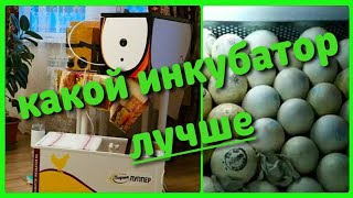 Мои СУПЕР ИНКУБАТОРЫ И РУКИ ИЗ ПЛЕЧ - ВЫВОДИТСЯ ВСЁ 🐣👍овоскопирую уток и индюков