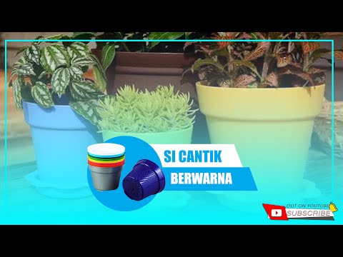  Pot  Bunga  Cantik  YouTube