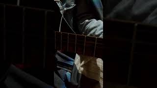 Download Lagu Lagu aceh gayo lues MP3