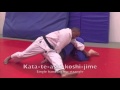 Judo BJA 1st Kyu Brown Belt Requirements