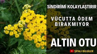 Si̇ndi̇ri̇mi̇ Kolaylaştiriyor Vücutta Ödem Birakmiyor My Saglik