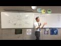 Understanding Percentages and Ratios