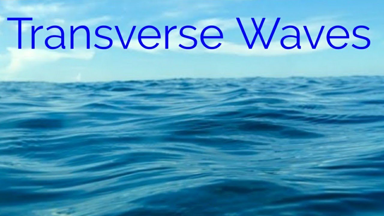 Transverse waves class 11 Physics in Hindi - YouTube