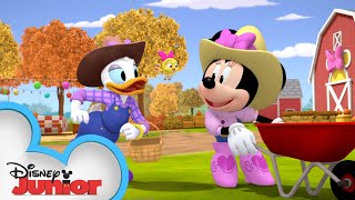 Happy Harvest Day Minnies Bow-Toons