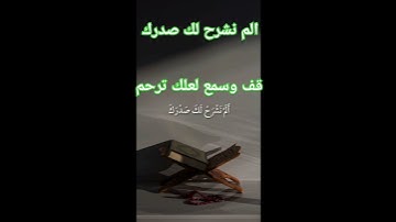 الم نشرح لك صدرك #القرآن_الكريم #تلاوة_خاشعة #haveitoldyoulatelythatiloveyou #اكسبلور #دويتو