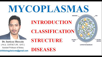 Mycoplasmas, PPLO, Joker of microbiology. #mycoplasma