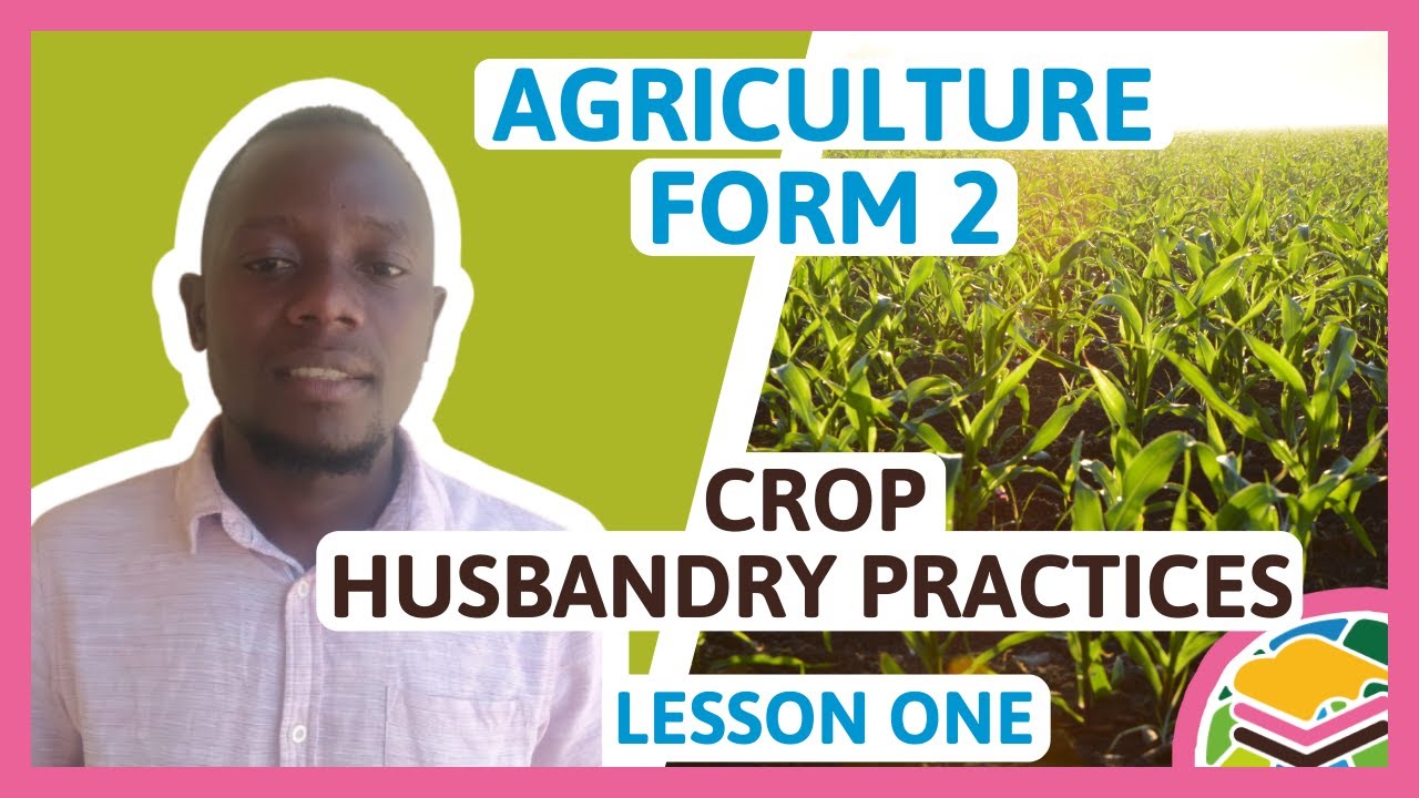Crop Husbandry Practices F2 Agriculture Lesson 1 YouTube crop-husbandry-practices-f2-agriculture-lesson-1-youtube