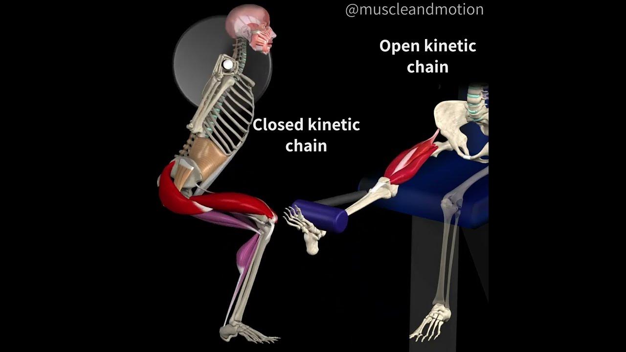 open-and-closed-kinetic-chains-youtube