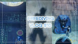취미로그🤿 프리다이빙#10 딥풀에서 펀다이빙 | 시흥파라다이브35 | 인스타360에이스프로 | freedivingvlog | 패디레벨2 | 일상브이로그
