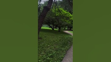 آية تهز القلوب من سوره هود للقارئ @islam_sobhi #قرآن #اكسبلور #foryou #explore #nature