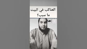 سبب وجود العناكب في البيت السحر أم العين أم ماذا 