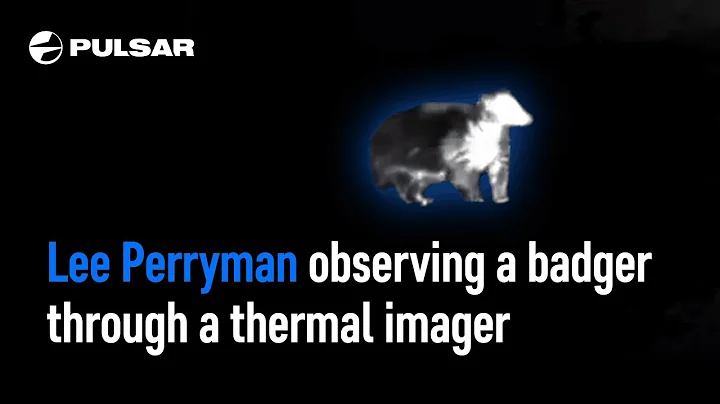 Observing a badger through a thermal imager | Lee ...