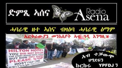 Voice of Assenna: Discussion with Eritrean Youth Activists in the UK - Part 2