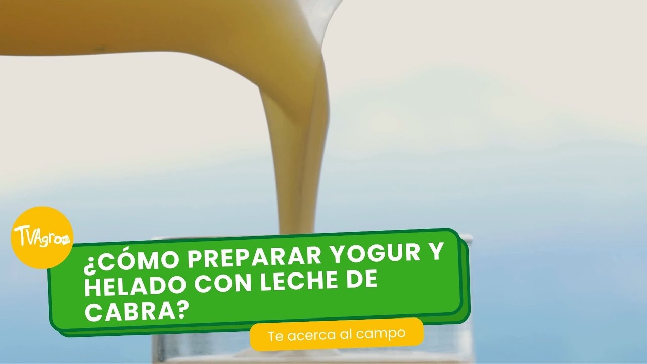 ¿Cómo preparar yogur y helado con leche de cabra?- TvAgro por Juan Gonzalo Angel Restrepo