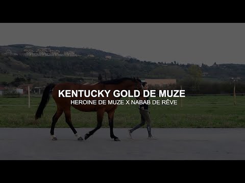 LEGEND MARE - Kentucky Gold de Muze