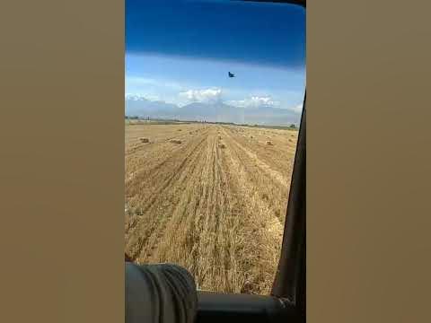 салома - YouTube
