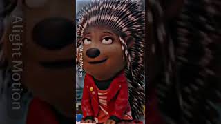 You Can Choose Only One Girl