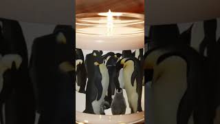 Httpmyhomedeco.multiscreensite.com