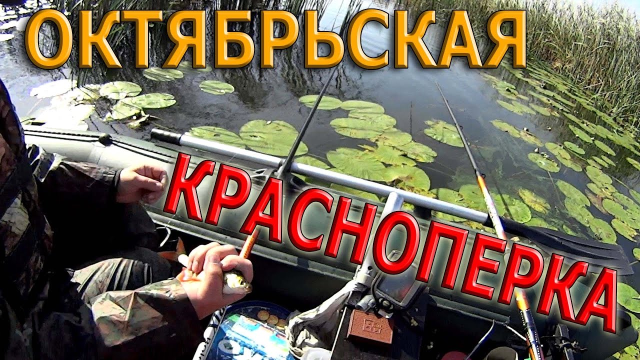 Рр3 красноперка волга
