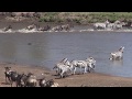 Mara River Crossing 3 - Serengeti - Great Migration - andbeyond