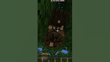 Surviving 7 days in a hard difficulty world with leather Armor and wooden tool#Shorts