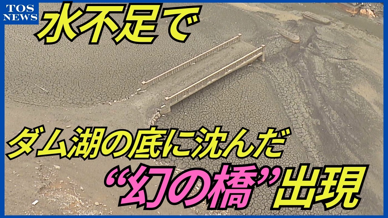 恵みの雨とはならず…ダムの貯水率低下で「幻の橋」が出現　ブロッコリーの生育にも影響　大分