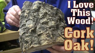 WHOA❗ Cork From A TREE❓🆗 - Wood Turning