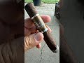 CAO Flathead Good daily medium to full stick !