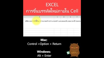 EXCEL Tips: การขึ้นบรรทัดใหม่ภายใน cell