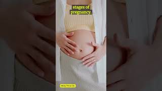 Bleeding during third trimester of pregnancy pregnancy pregnancybleeding