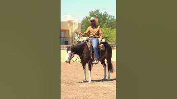 Pay attention to how much direct rein you use.  #reining #reiningmasterclass #horsetrainingtips