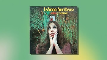 Lebrón Brothers - Salsa y Control (Audio Oficial)