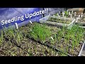 Exciting seedling progress report