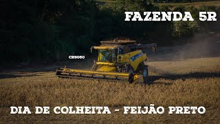 Dia de colheita de FEIJÃO OESTE SC- 5RVLOG