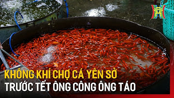 Không khí chợ cá Yên Sở trước Tết ông Công ông Táo | Tin tức