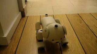 Genibo Aibo Loudness Comparison
