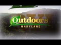 Preview: Outdoors Maryland Episode 3506 | Migratory birds, Fall foraging, Nature lovers