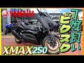【ヤマハ】「XMAX250」試乗『パワーサイズ感丁度よいビクスク』【モトブログ】