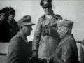 Ww2  field marshal erwin rommel