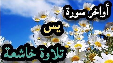 تلاوة تأخذك الى عالم اخر.. للقارئ عمر محجوب.. ارح سمعك♥