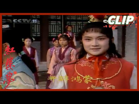 宝黛钗三人初相见 宝玉一个动作彰显三人以后关系《红楼梦》第2集 The Story of the Stone【CCTV电视剧】