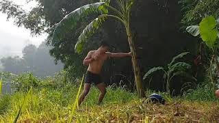 MuayThai shin conditioning in Banana Tree