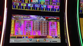 100 Sabertoothed Tiger Slot machine Bonus Big Win First Spin i Bonused screenshot 5